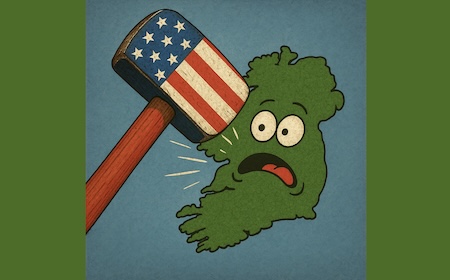 Shamrocks & Sledgehammers: Ireland in the Crossfire of Trump’s Trade War